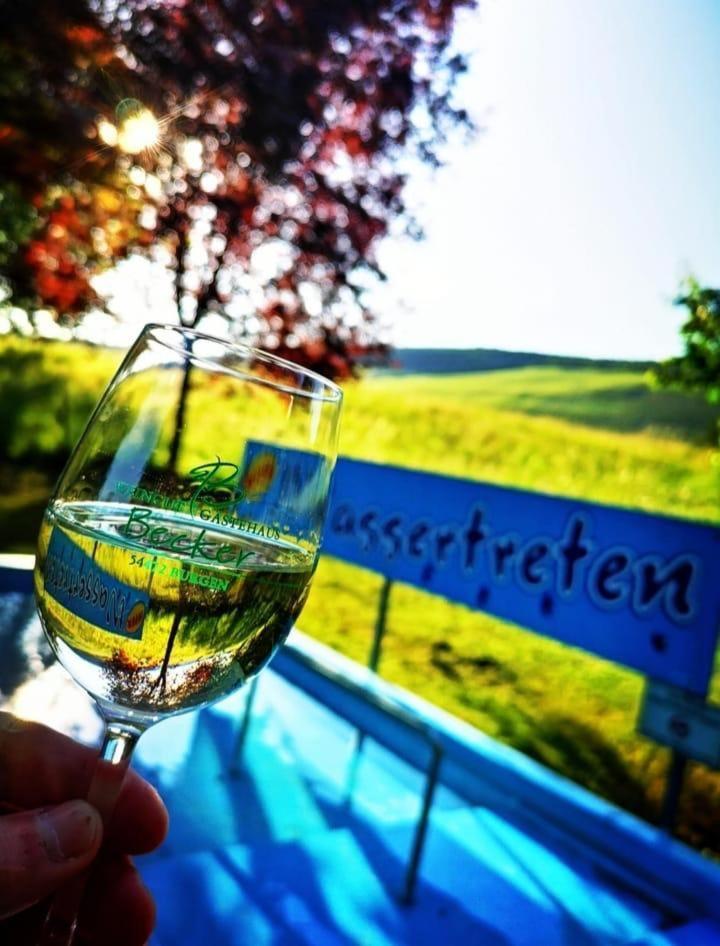 Ferienweingut & Gutsrestaurant Becker Apartment Burgen  Luaran gambar