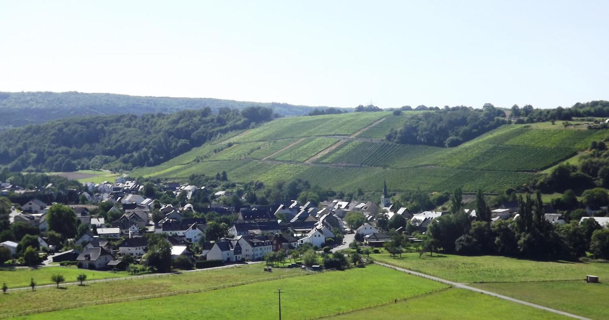 Ferienweingut & Gutsrestaurant Becker Apartment Burgen  Luaran gambar